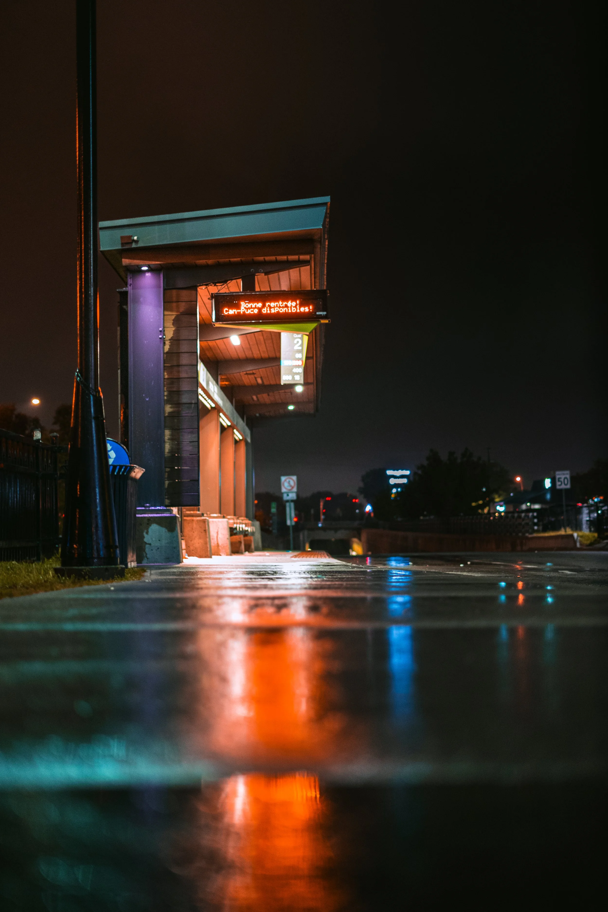 DSC07339-2.jpg