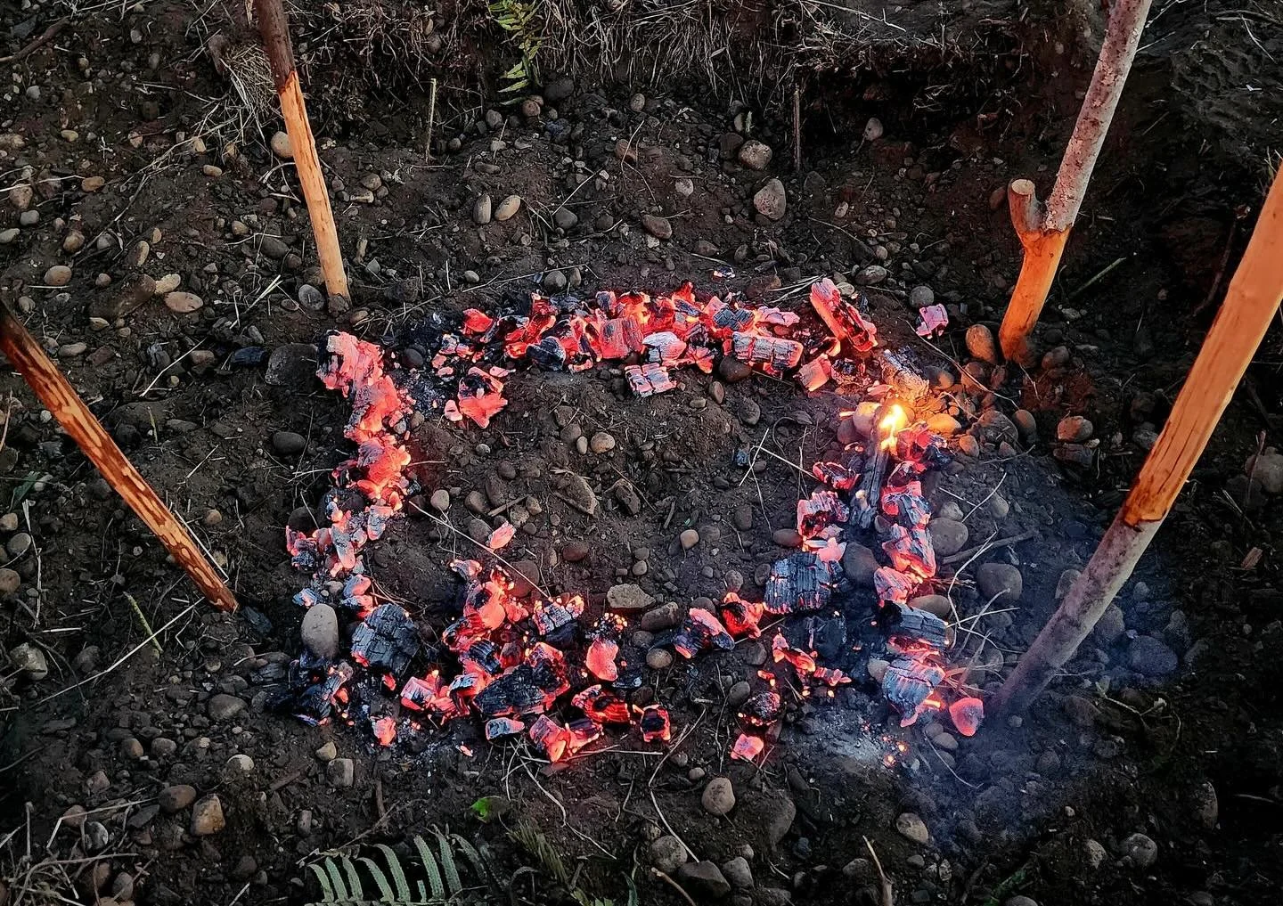 The Fall Camas Bake a few weeks ago was a beautiful weekend full of planting in the Food Sovereignty Garden and feasting on delicious pit cooked foods and fire roasted salmon. #coastsalishyouthcoalition. It was a smaller crowd than the springtime eve