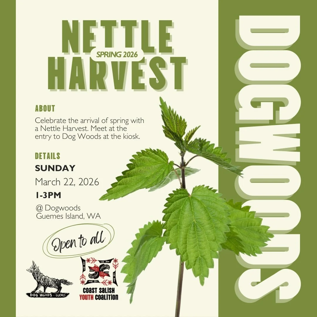 Celebrate the arrival of spring with a Nettle Harvest on Sunday, March 22 from 1-3pm. Meet at the kiosk at the entrance to Dog Woods.

If you haven&rsquo;t eaten them yet, nettles taste like a cross between cucumbers and spinach. Early spring is the 