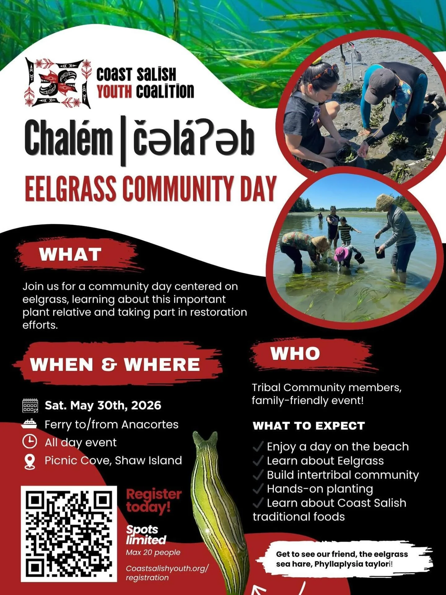 Coming up! Interested in connecting with, learning about, and participating in restoring eelgrass? This event is for you! 

Spots limited! Register now to reserve your spot: https://www.coastsalishyouth.org/registration

This is a free, family-friend