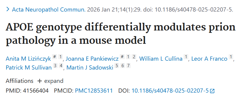 2026. New publication! APOE genotype differentially modulates prion pathology in a mouse model by Lizinczyk and Pankiewicz et al.