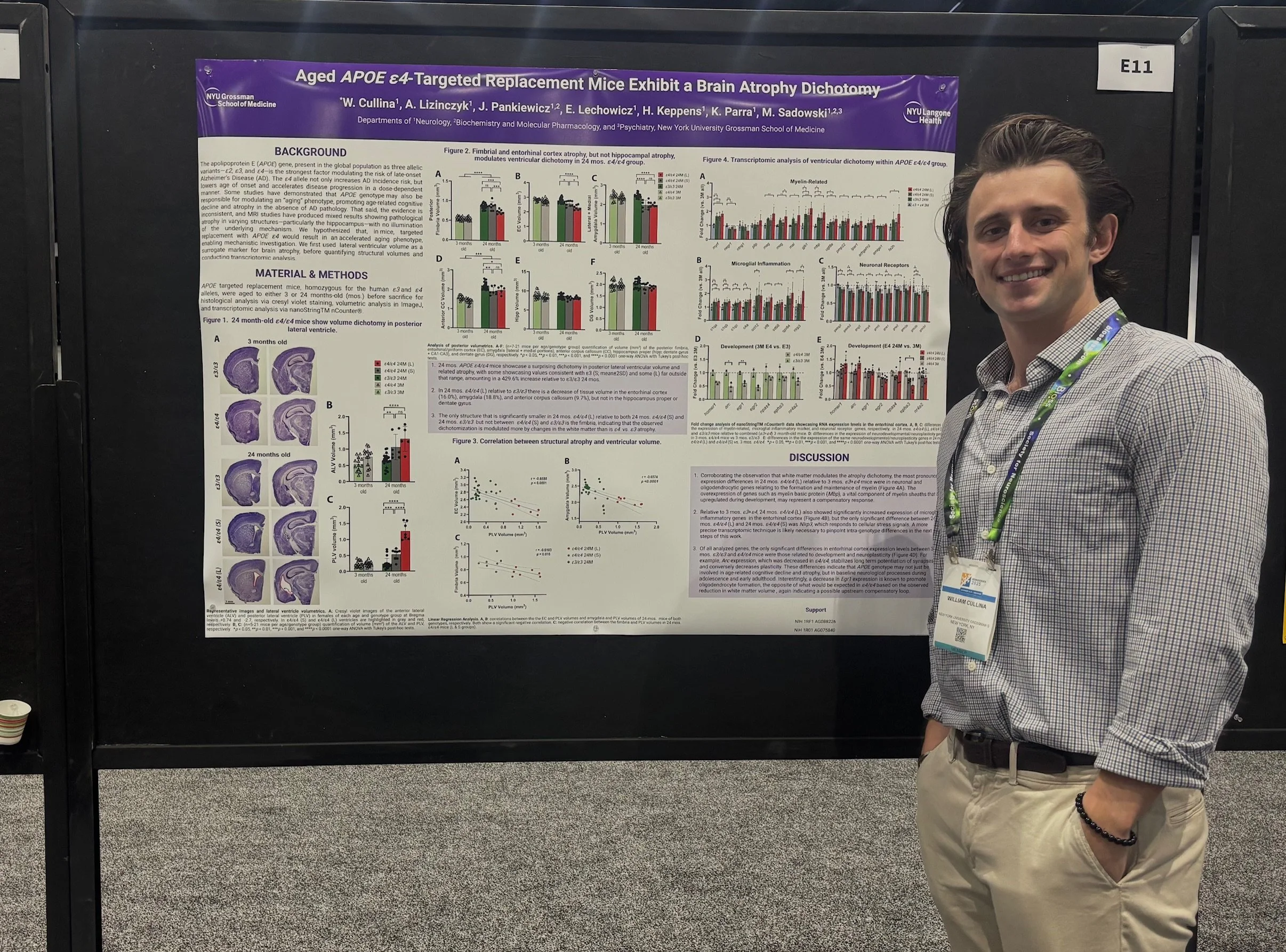 Nov 18 2025. Our Research Associate, William Cullina, presented his poster at the 2025 annual Society for Neuroscience meeting in San Diego. The poster was titled, "Aged APOE ε4-Targeted Replacement Mice Exhibit a Brain Atrophy Dichotomy"