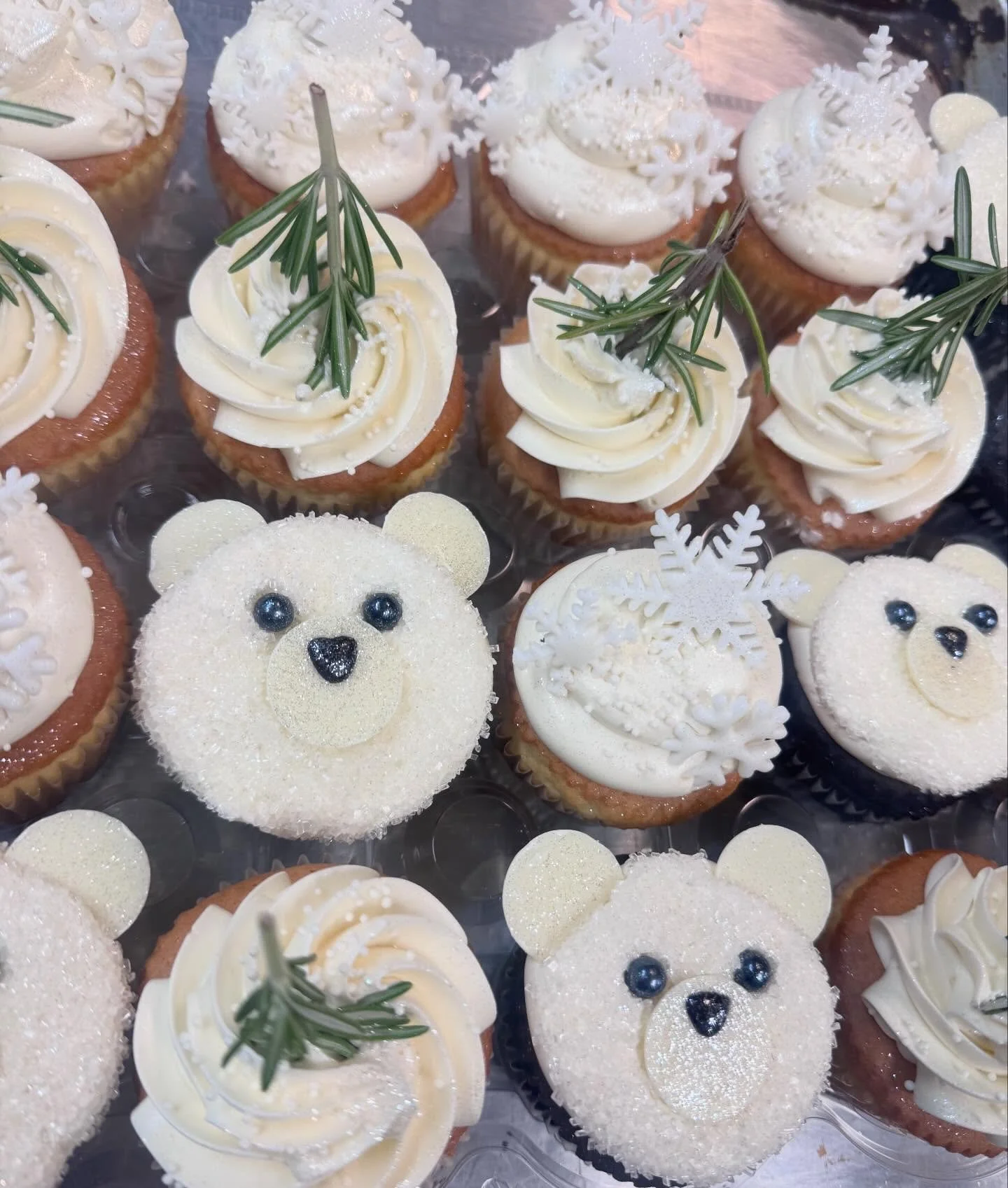 CUSTOM CUPCAKES 🐻🧁❄️