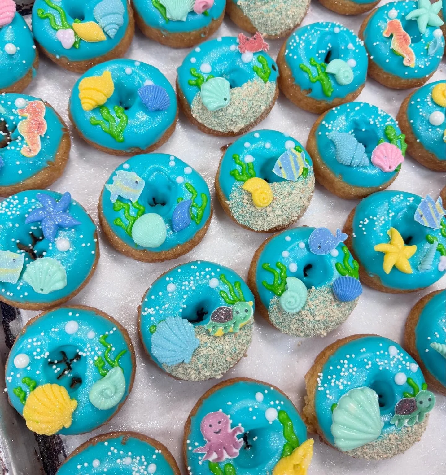 CUSTOM DONUTS 🐟🐠🦀🐙🐬