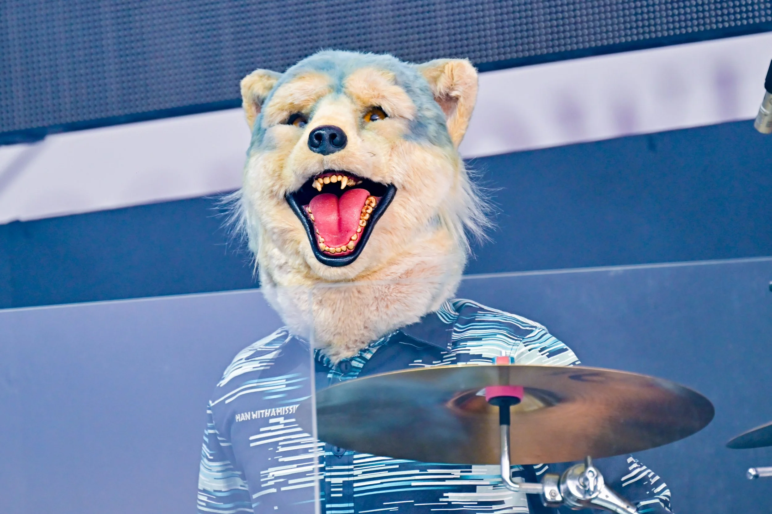 MWAM-2-Z9A_0187_Credit_Ryo Kawakami.jpg