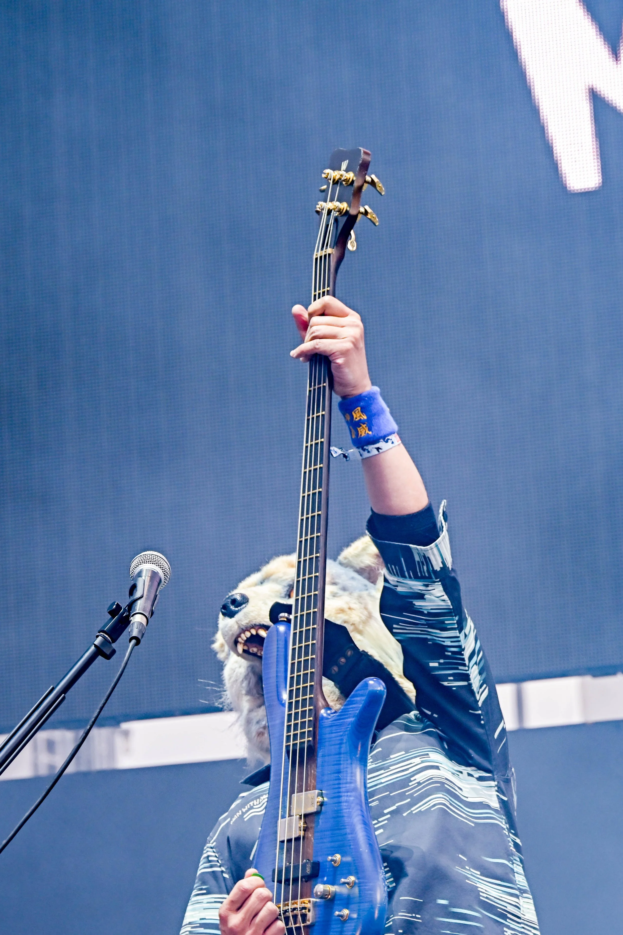 MWAM-16-Z9B_8149_Credit_Ryo Kawakami.jpg