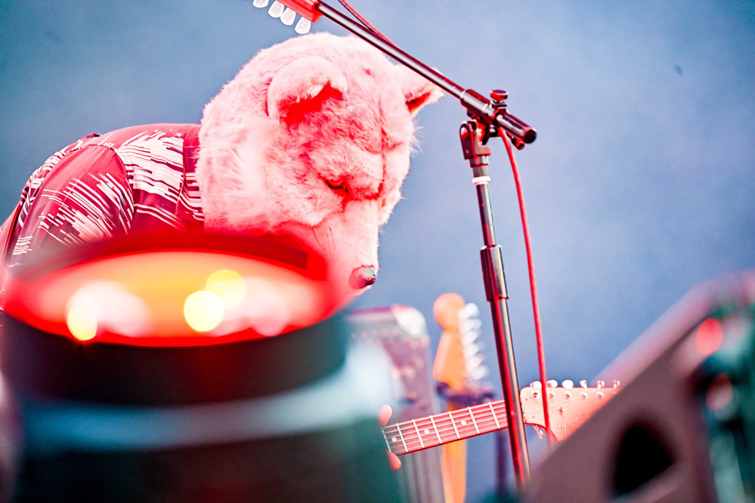 MWAM-84-Z9A_2051_Credit_Ryo Kawakami.jpg