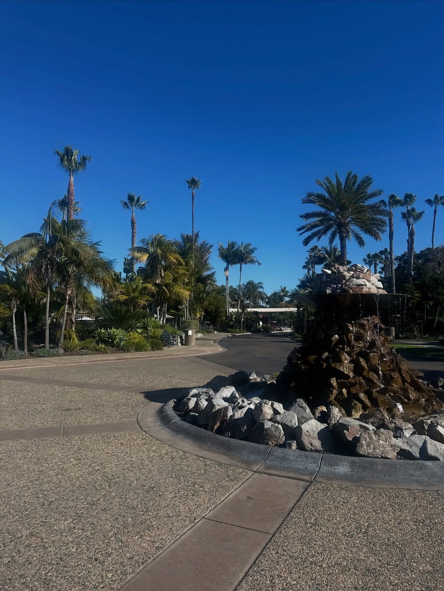 wrapped up the last work trip of the year in sunny san diego ☀️ 

this was a planning visit for one of our client&rsquo;s annual meeting that we&rsquo;ll be hosting here in may. i came to site this property in 2023 when we were looking for a home for