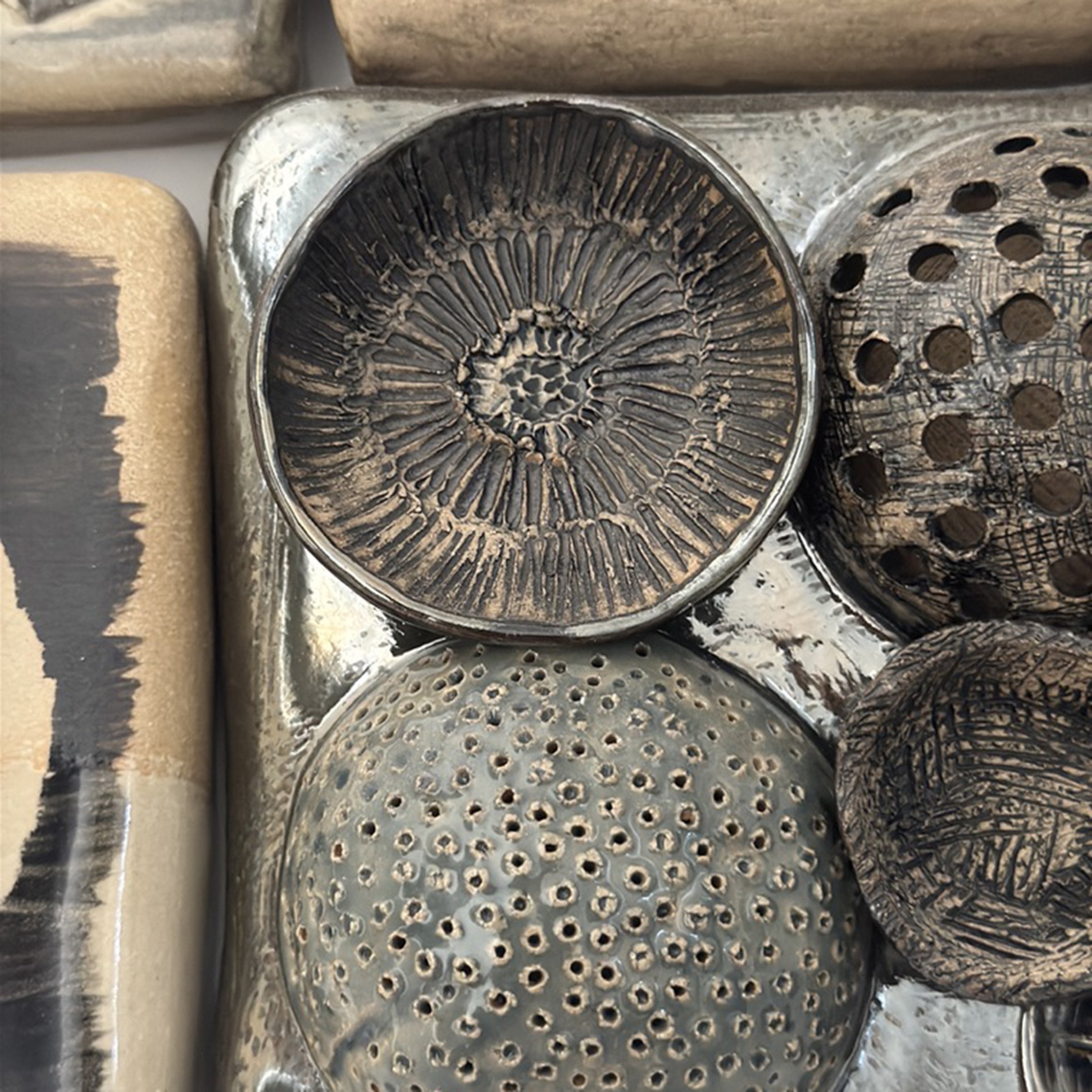 textures from the plant world