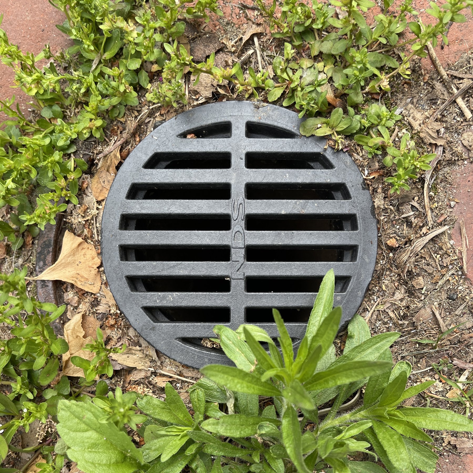 lush edging around the sidewalk vent