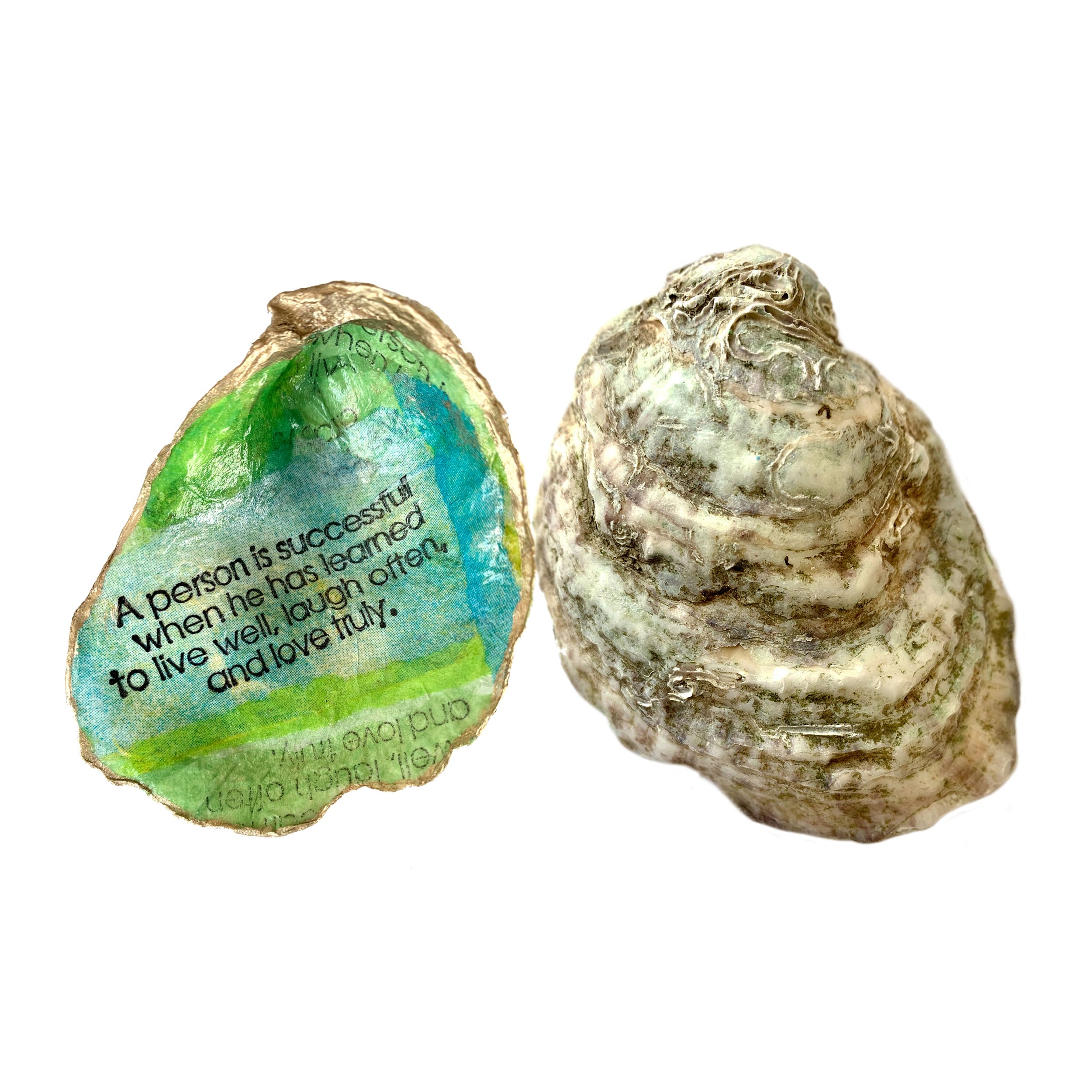 oyster-quote-sq.jpg