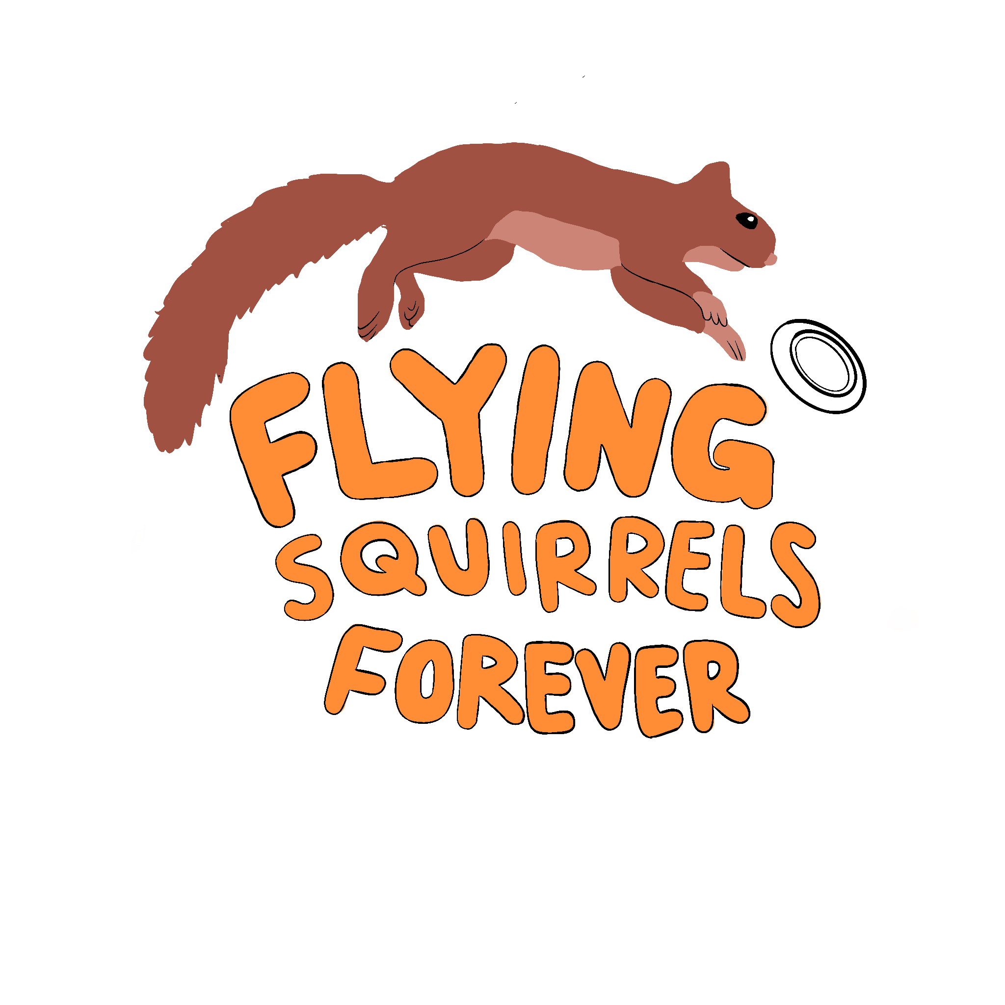 Design for sports team frisbees