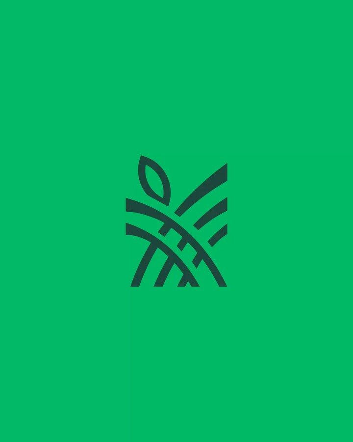 A little sneak peek 👀 before the big reveal for Tropo! Can&rsquo;t wait to share more about this amazing project. 

#branddesign #branding #branddesigner #rebrand