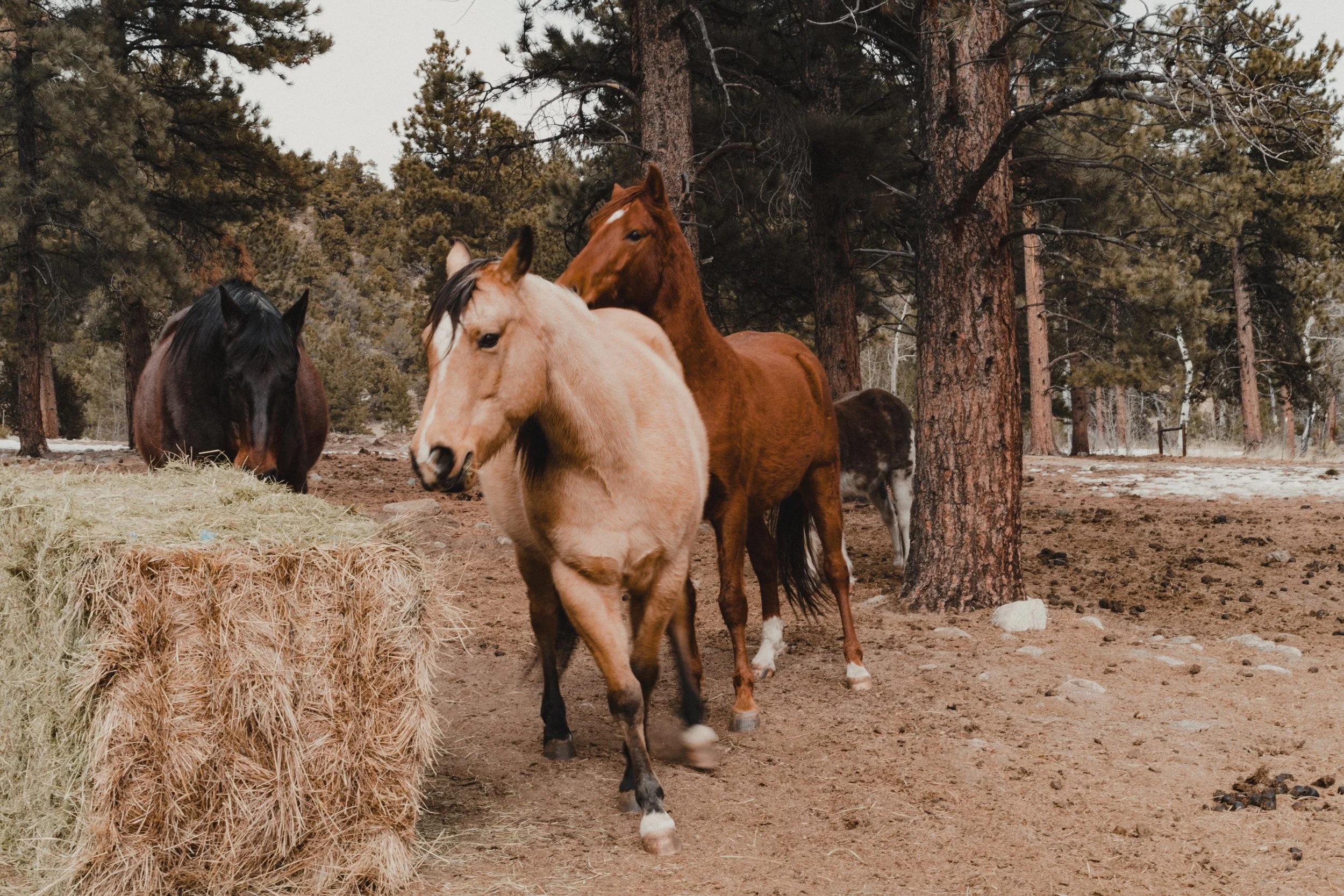 EE - February-34.JPG