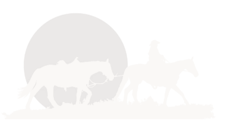 Silhouette of a person riding a horse with another horse nearby, with a large circular shape in the background.
