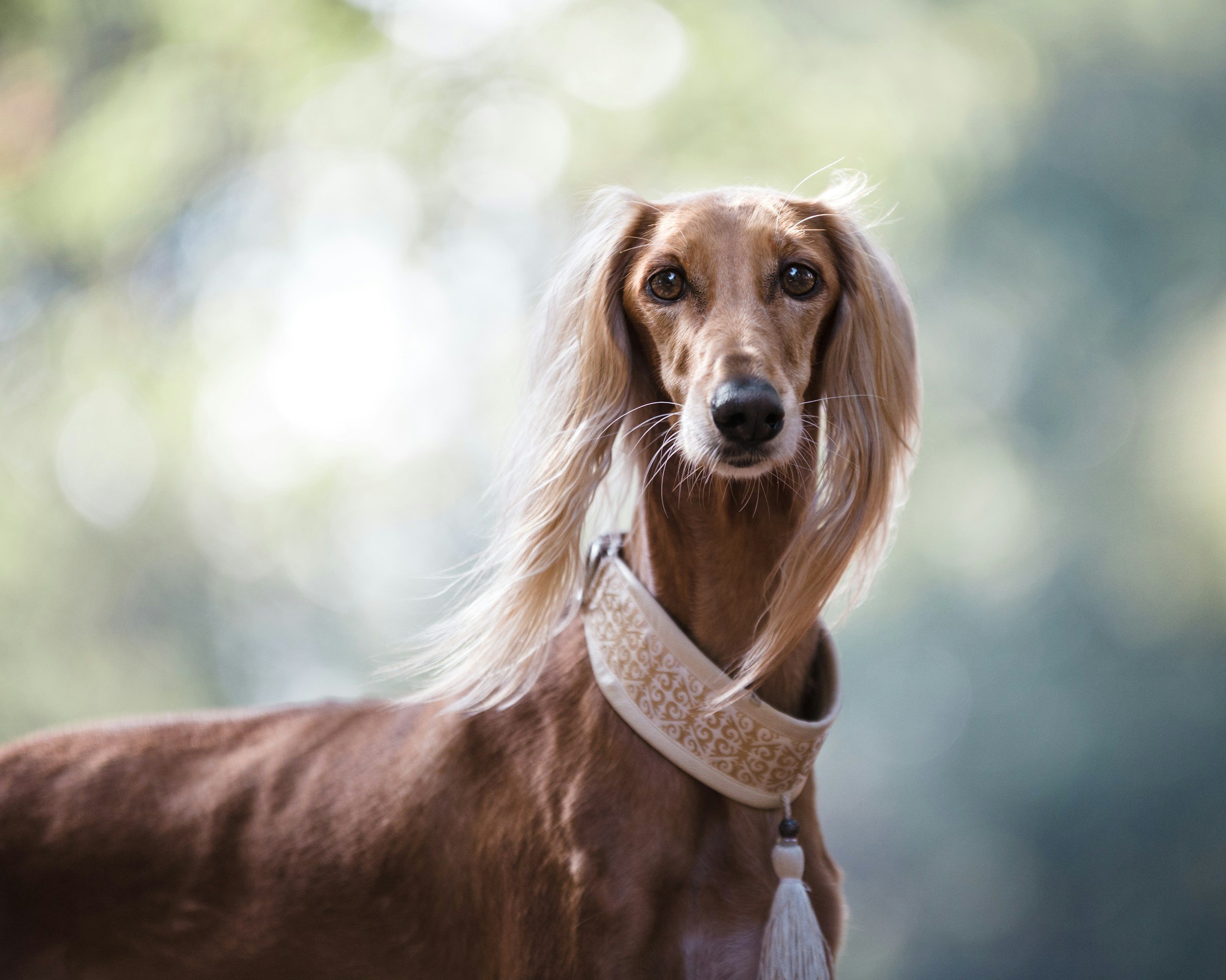 unsplash-image-Ugg-EIfzy0c.jpg