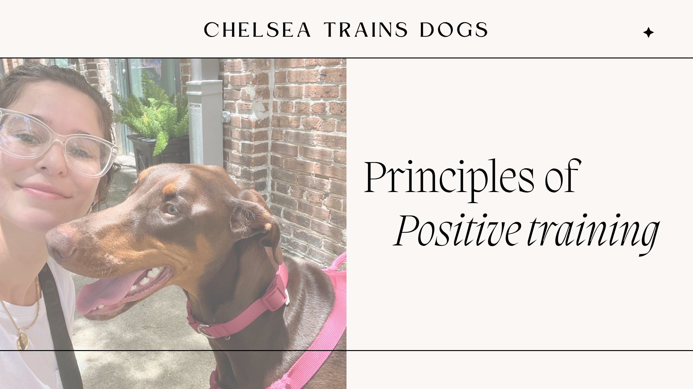 Positive Training Principles