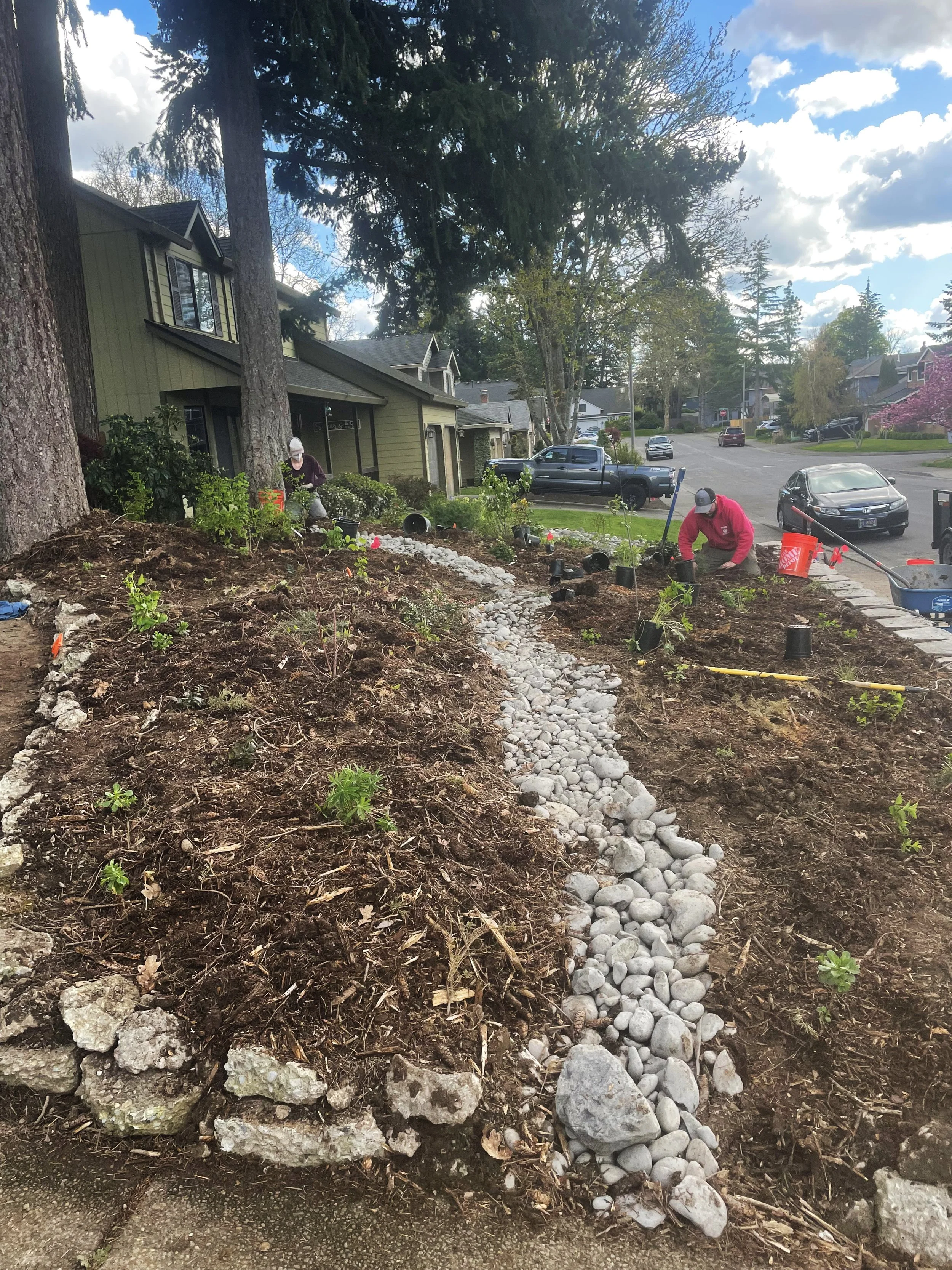 Naturescaping-001 - Copy.jpg