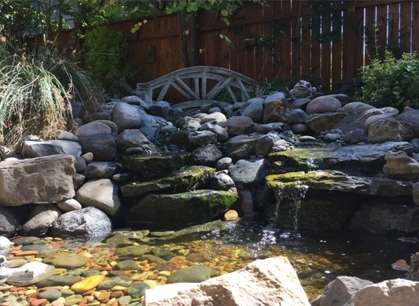 Pond - Copy.jpg