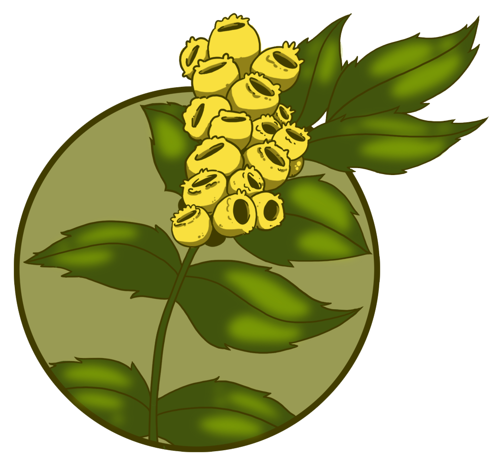 Native Plantscapes NW