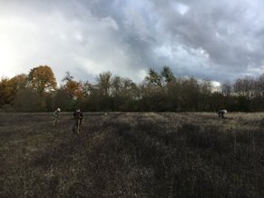 Field of Dreams.jpg