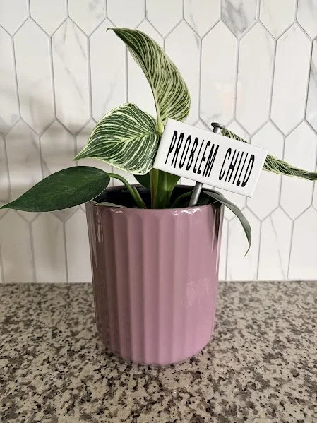 Plant Stakes