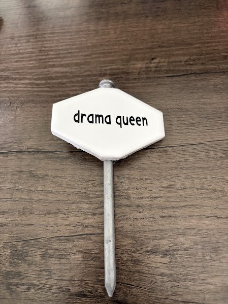 drama.jpg