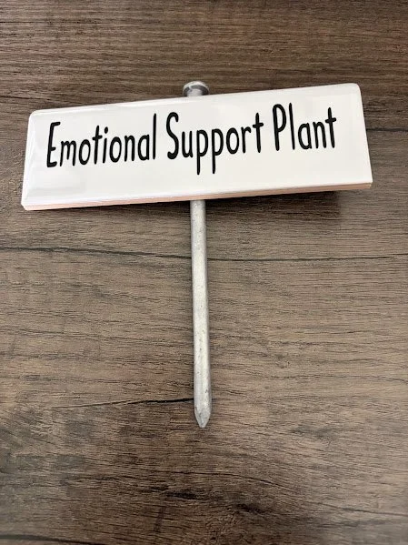 Emotional.jpg