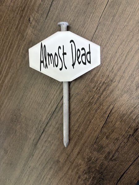 Almost.jpg