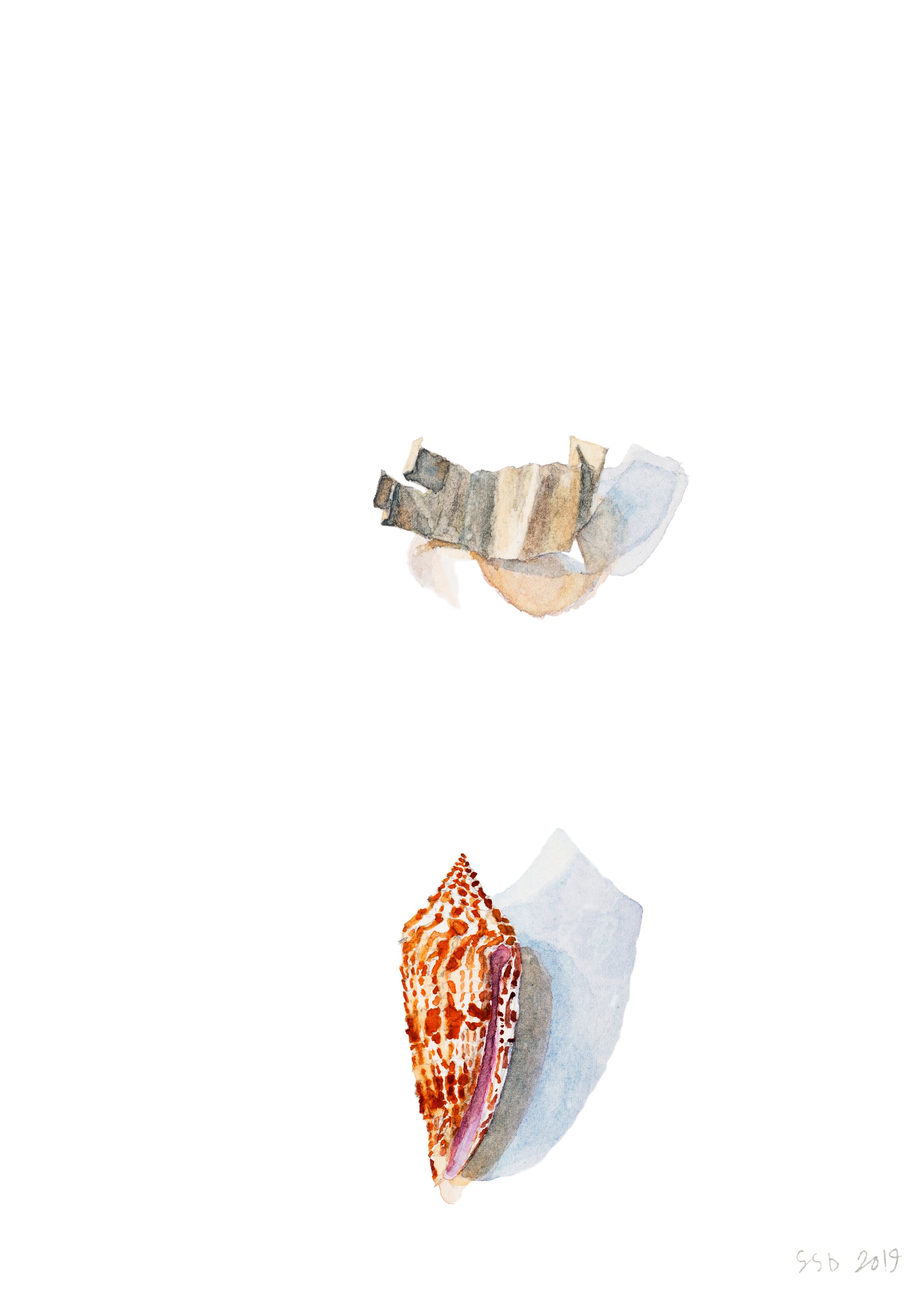 005_Shell_and_Grandaves Note_Dabney_7x5.jpg