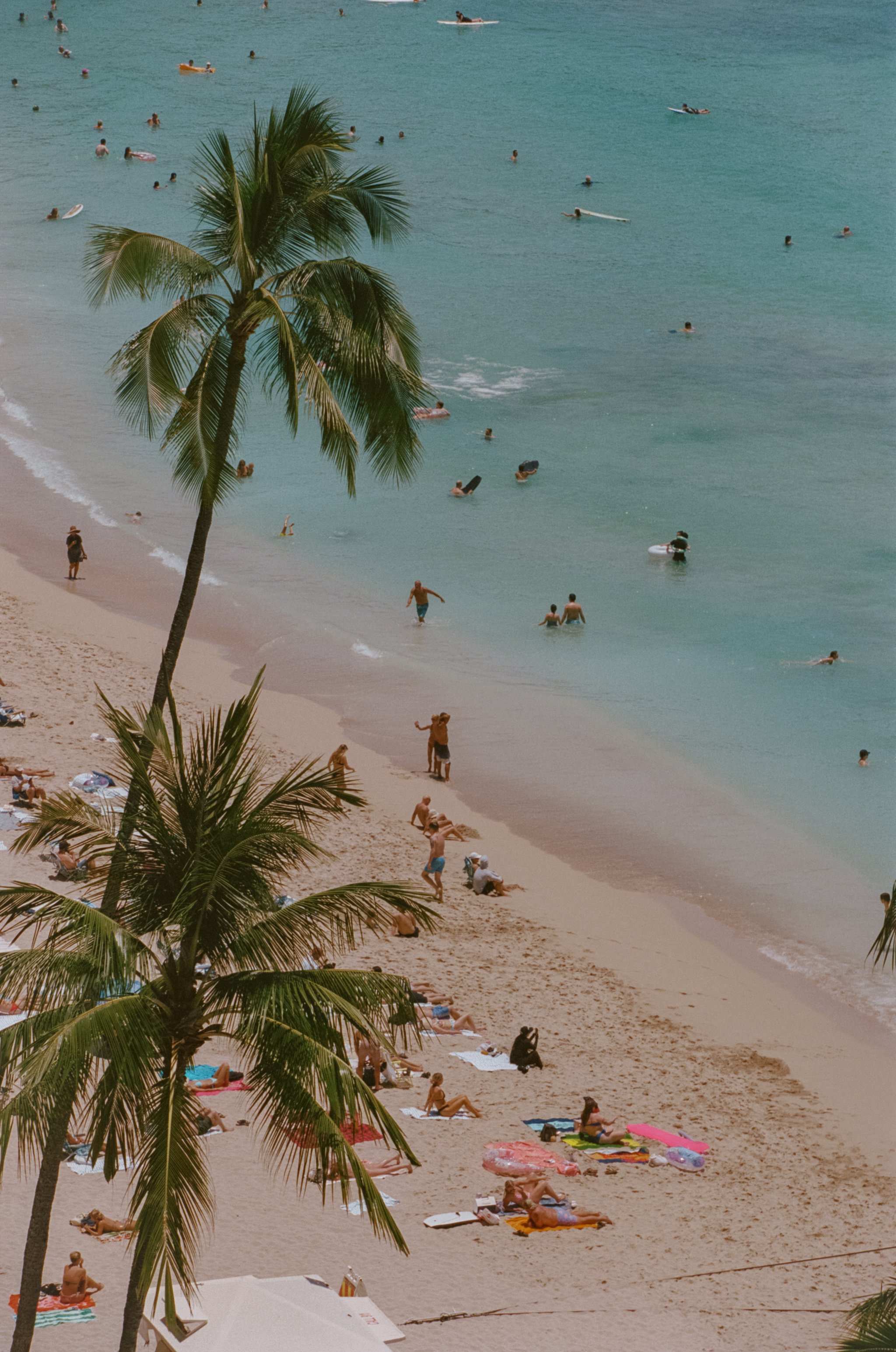 ABYSSE_SUMMER-26_WAIKIKI_22456-1-0009.jpg