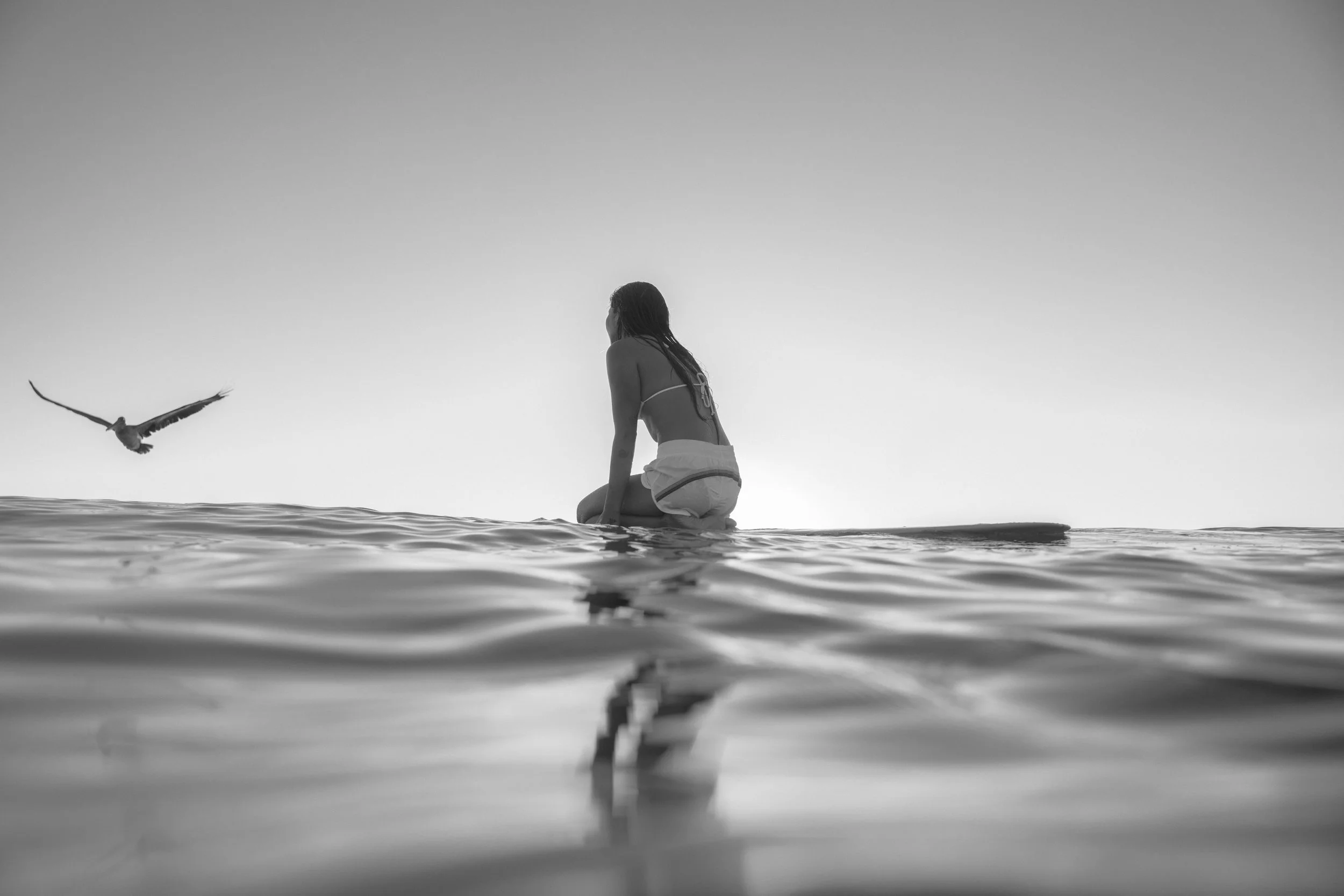 SUNDEK_SAN-CLEMENTE_LILY-DAY_287A8947.jpg