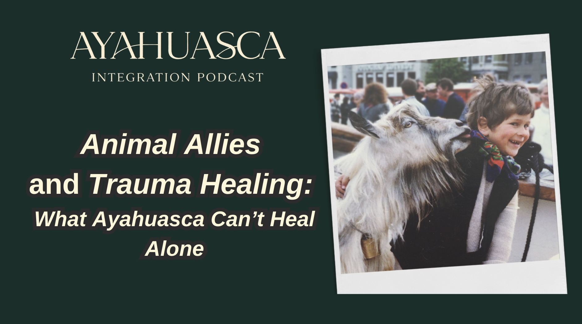 Animal Allies and Trauma Healing: What Ayahuasca Can’t Heal Alone