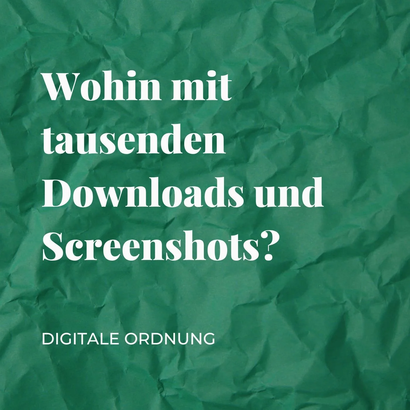 Wohin mit tausenden Downloads und Screenshots?