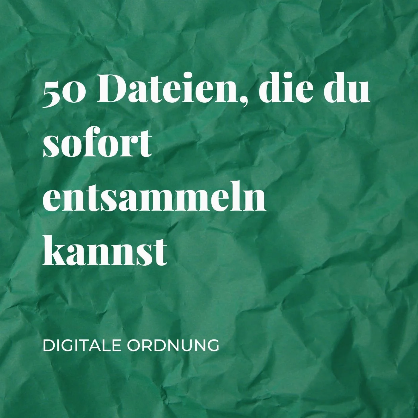 50 Dateien, die du sofort entsammeln kannst
