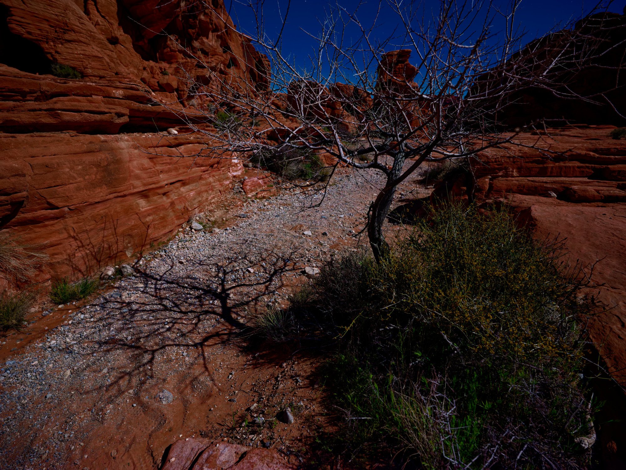 DSCF9425.jpg