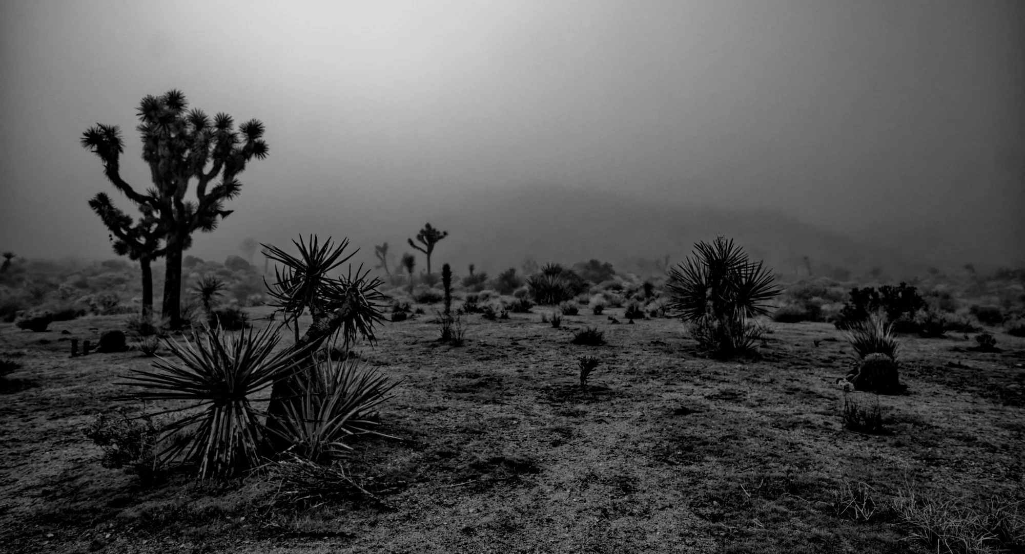 DSCF9359.jpg