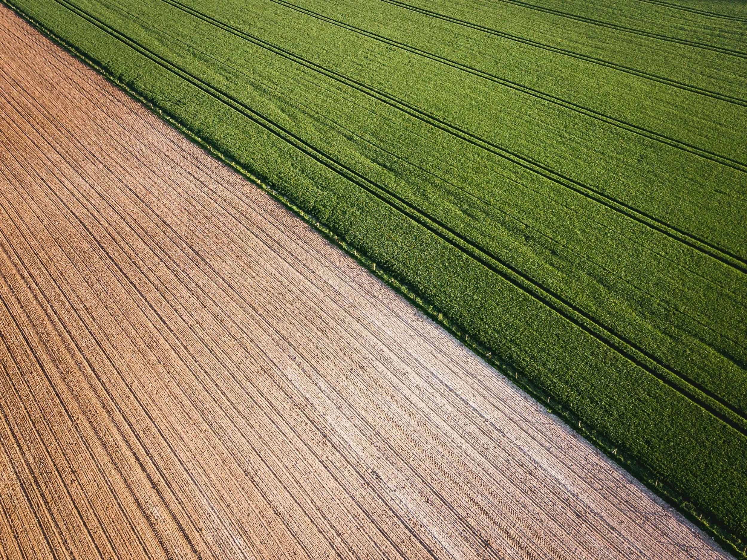 unsplash-image-XsAz9Mq61XY.jpg