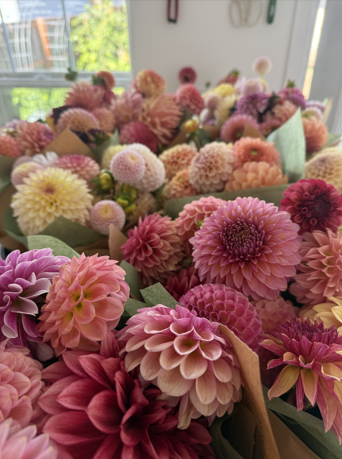 Screenshot 2025-12-05 at 10.01.19 AM.png