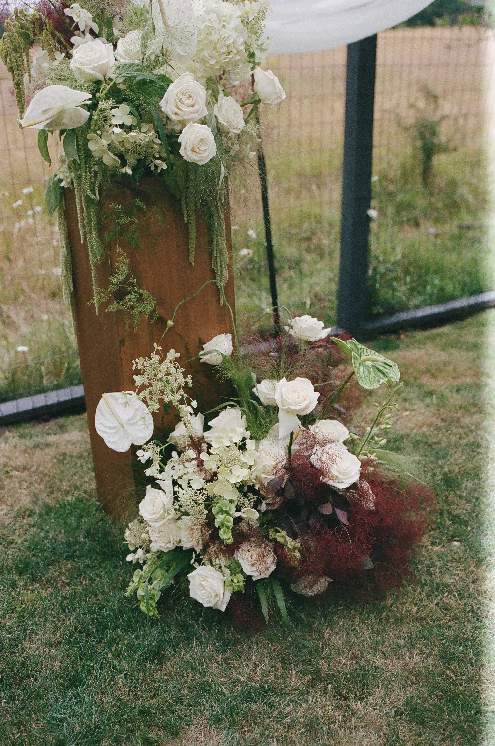 805192_0005.jpg
