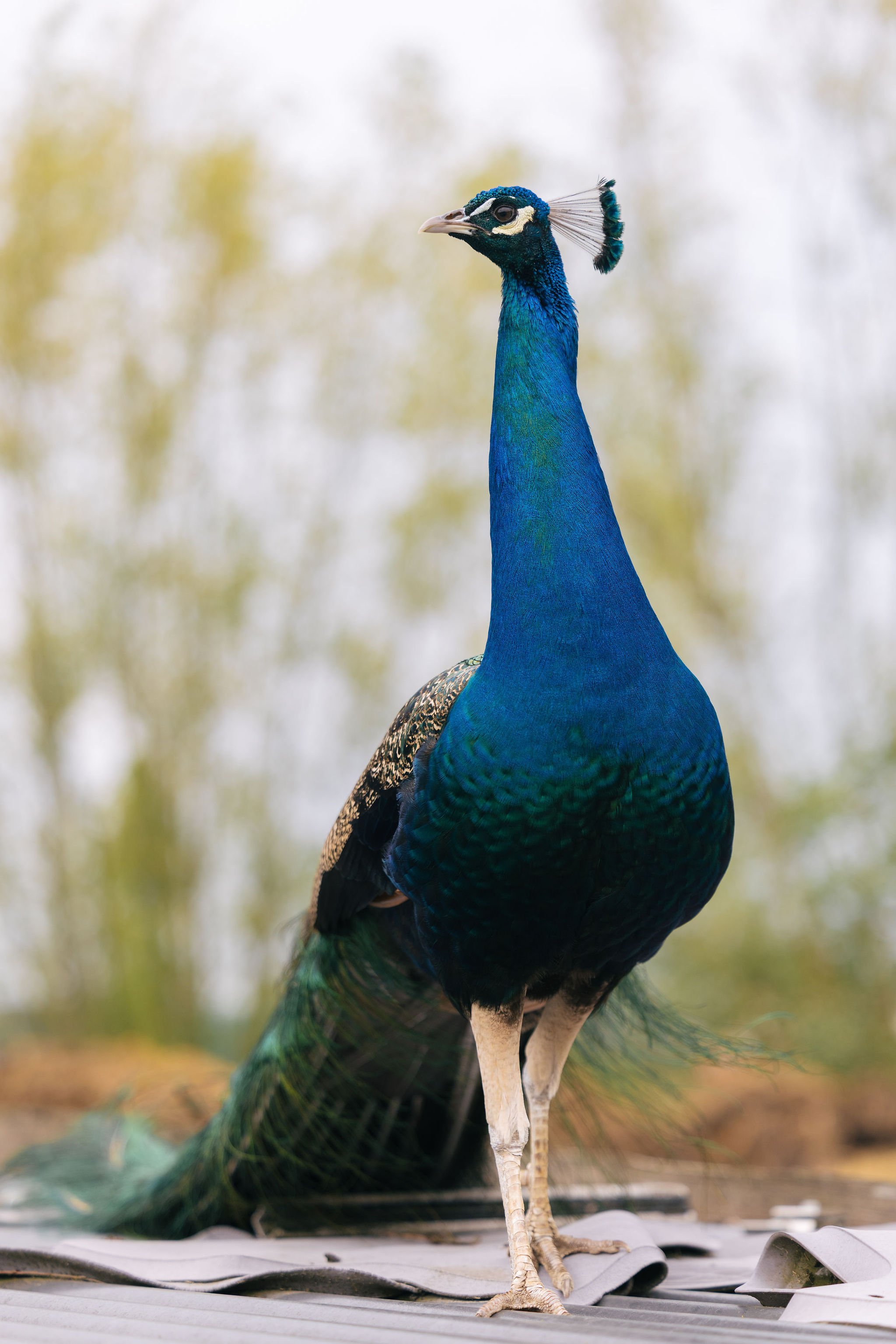 maditasander_website058__byWardMevis.jpg