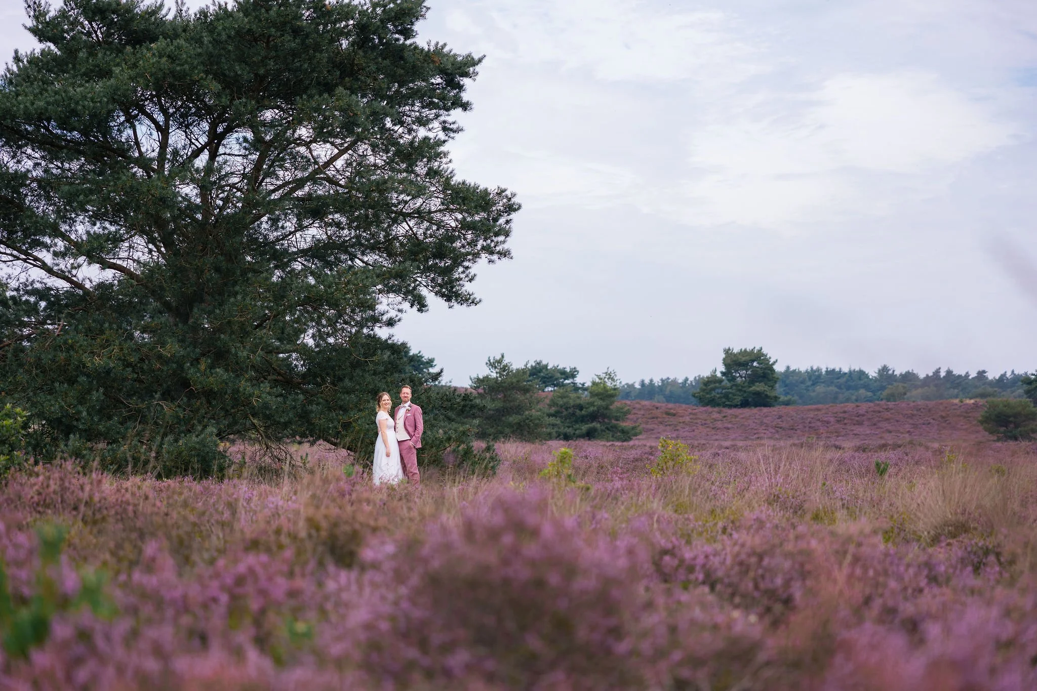 daphneguido_website045__by WardMevis.jpg
