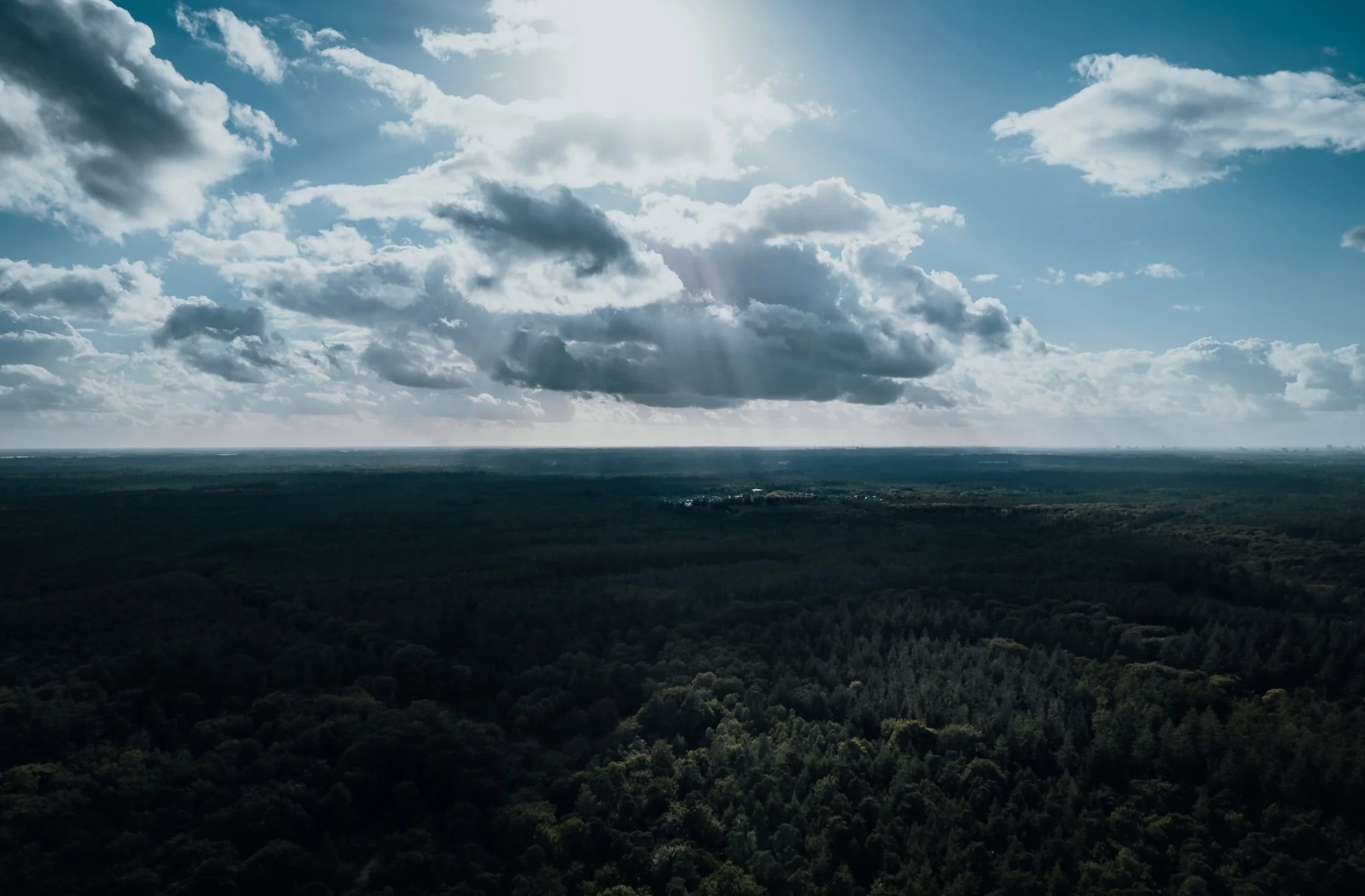 DJI_0187_WEBnologo.jpg