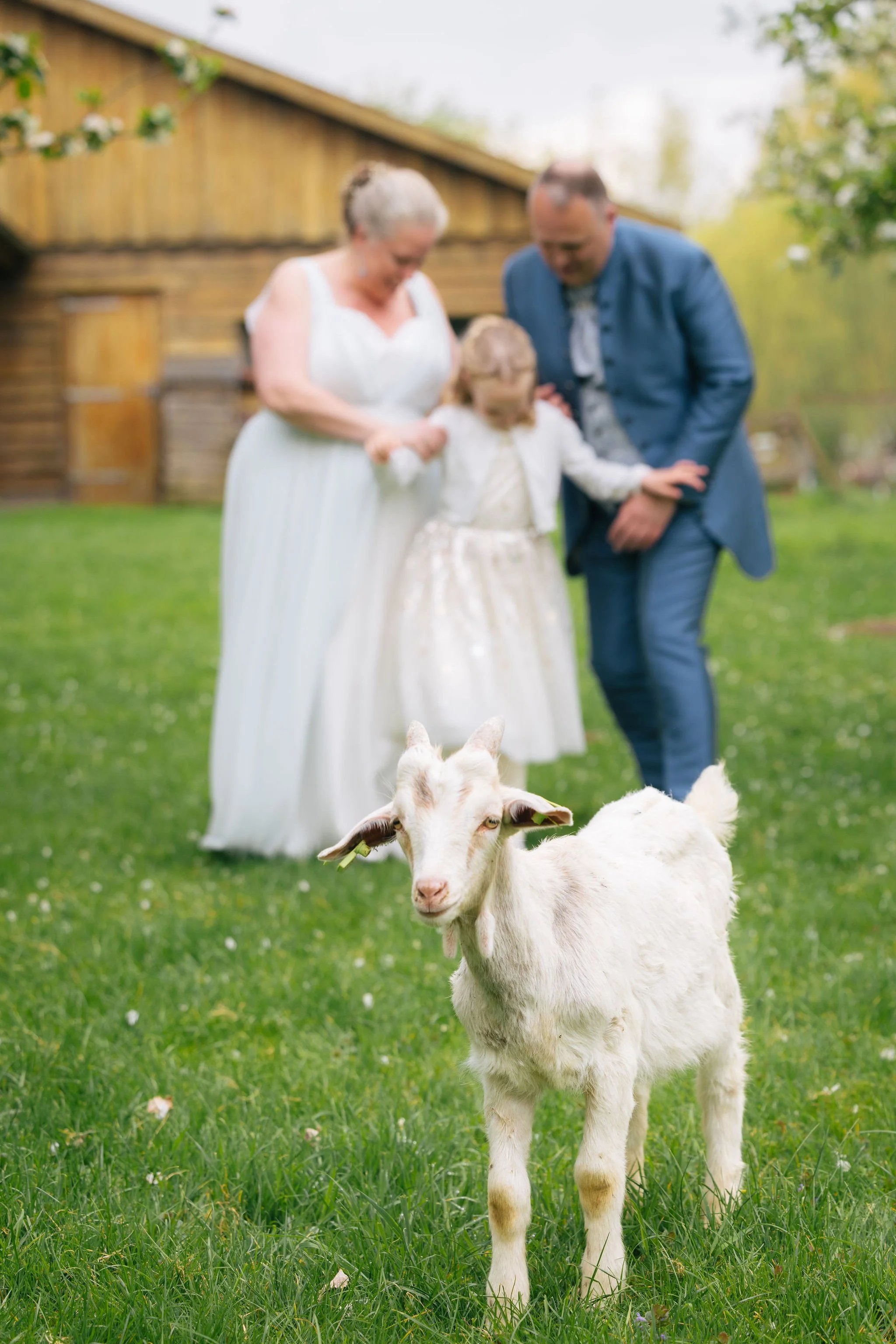 maditasander_website055__byWardMevis.jpg