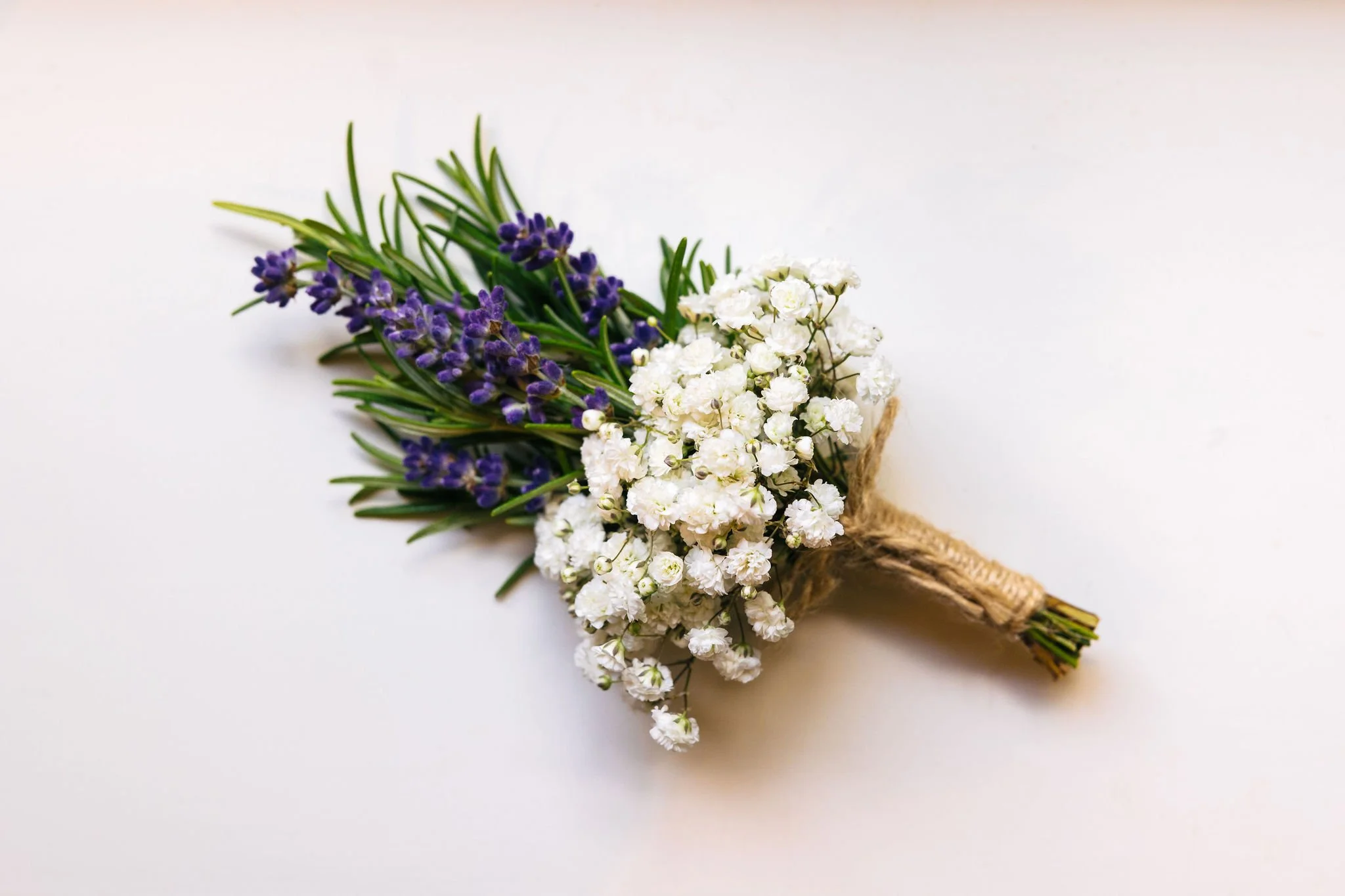 daphneguido_website009__by WardMevis.jpg