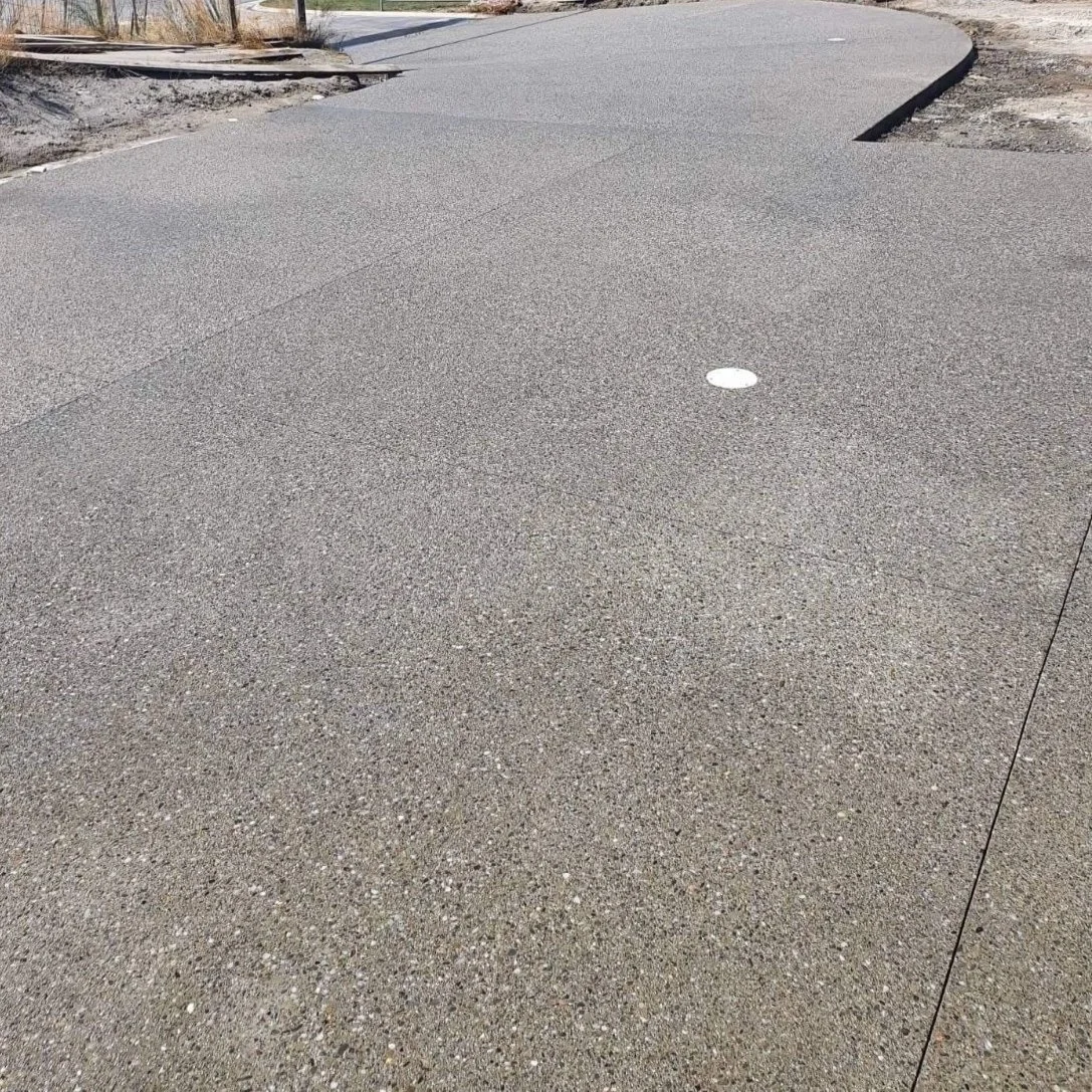 Apex Concrete Canterbury - Exposed Aggregate Driveway.jpg