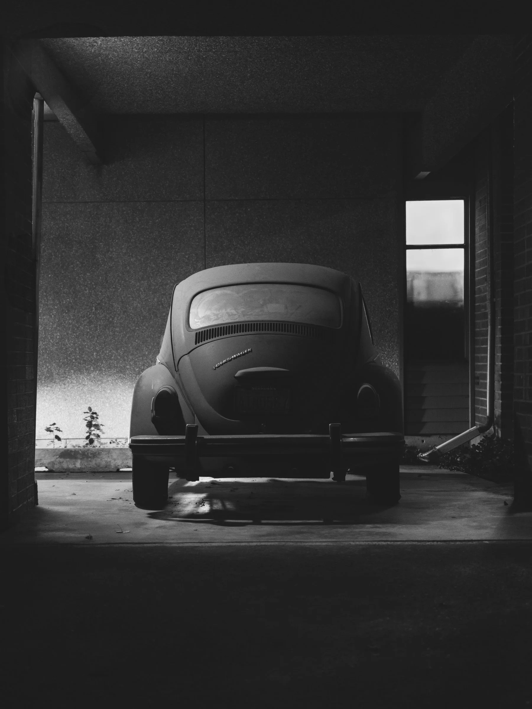 The Peoples Car