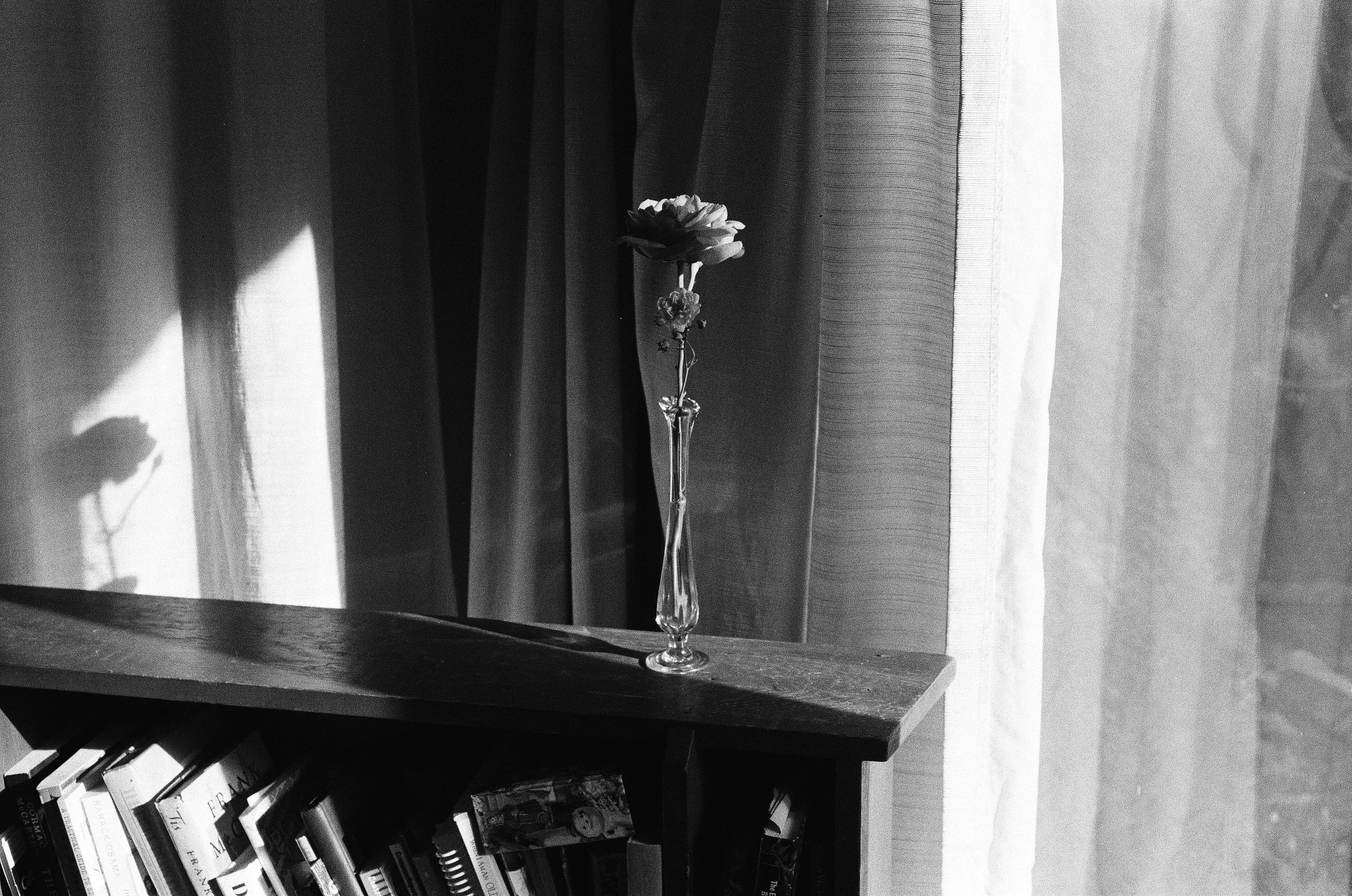 Bookshelf Flower (8.5