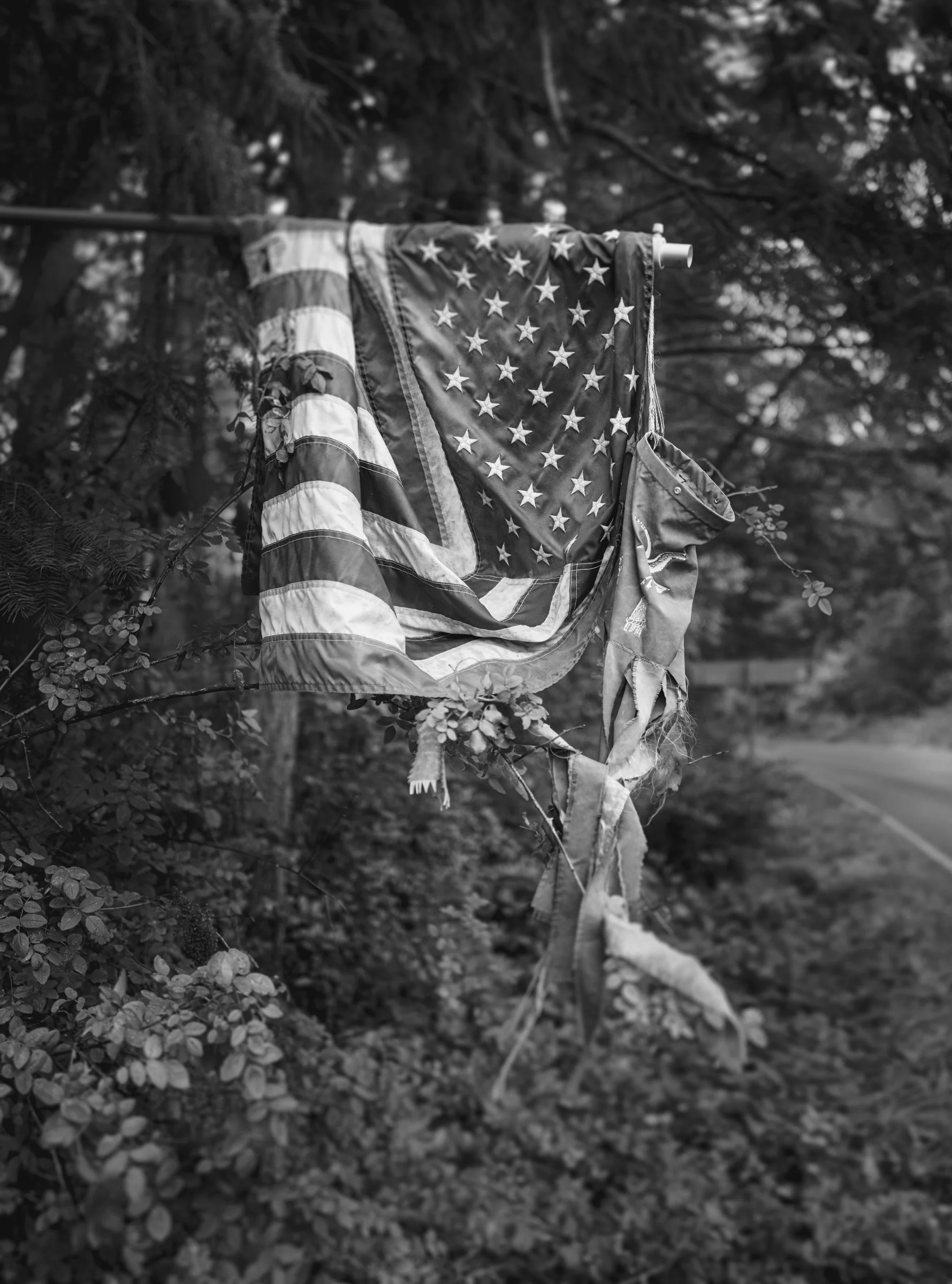 Patriot