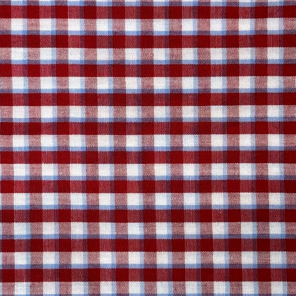 RED+BLUE+PLAID.jpg